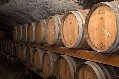 GTADoganeAV - Telematico Accise Vino